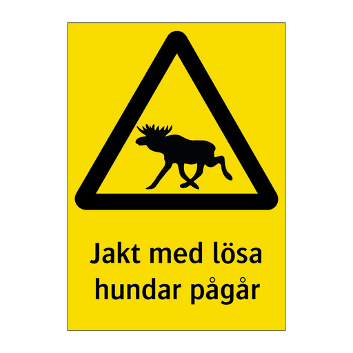 Jakt med lösa hundar pågår & Jakt med lösa hundar pågår & Jakt med lösa hundar pågår