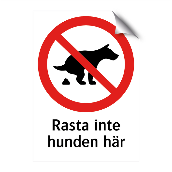 Rasta inte hunden här & Rasta inte hunden här