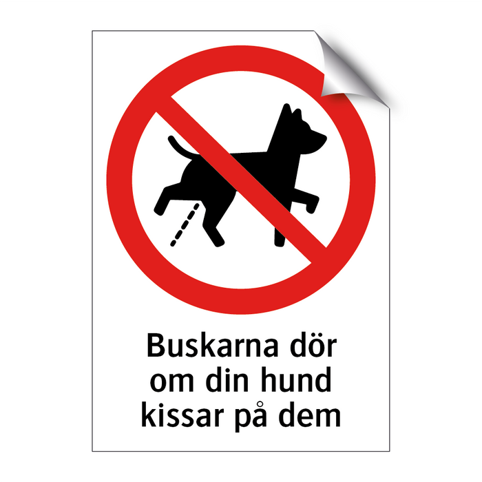 Buskarna dör om din hund kissar på dem & Buskarna dör om din hund kissar på dem