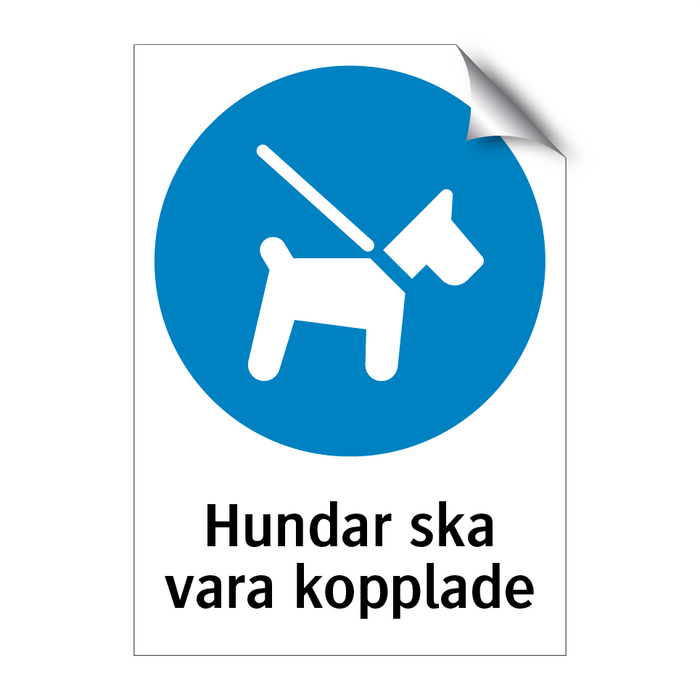 Hundar ska vara kopplade & Hundar ska vara kopplade