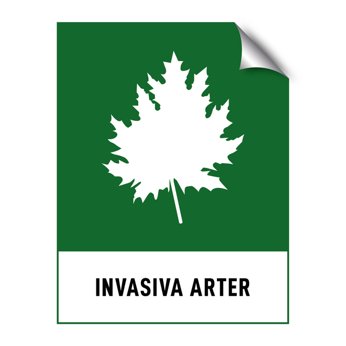 Invasiva arter & Invasiva arter & Invasiva arter & Invasiva arter & Invasiva arter
