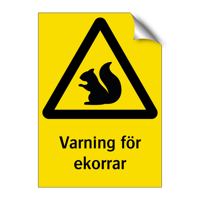 Varning för ekorrar & Varning för ekorrar