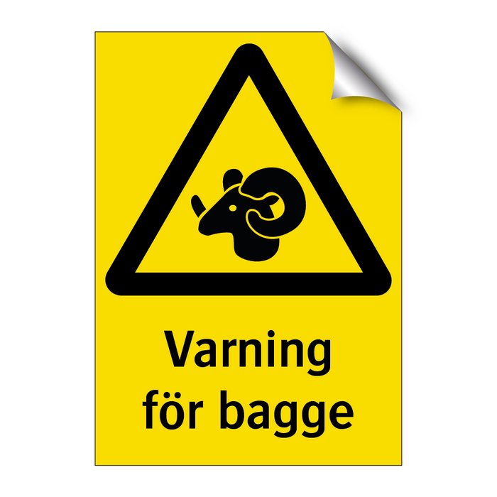 Varning för bagge & Varning för bagge