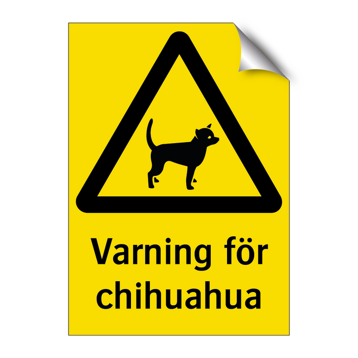 Varning för chihuahua & Varning för chihuahua