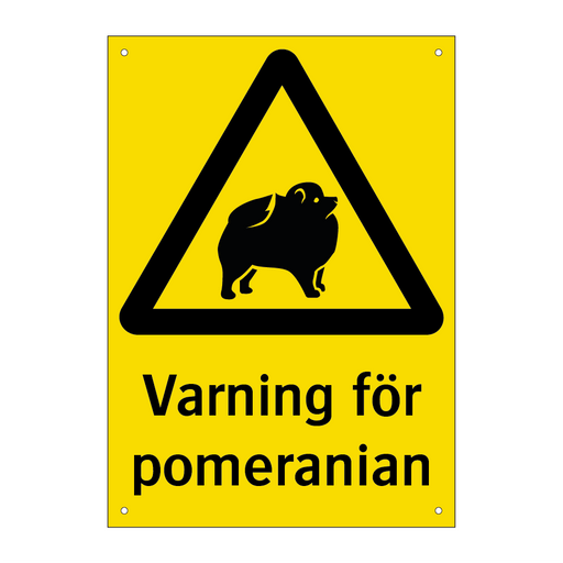 Varning för pomeranian & Varning för pomeranian & Varning för pomeranian