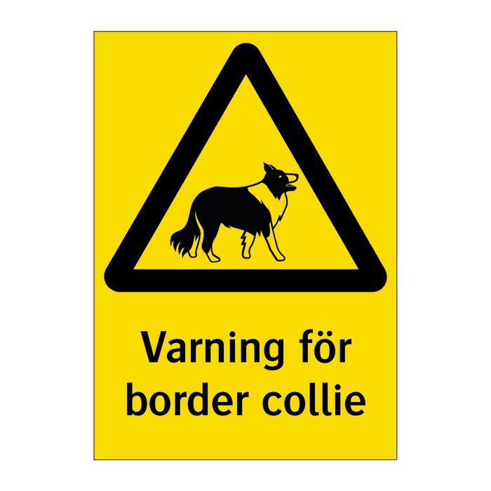 Varning för border collie & Varning för border collie & Varning för border collie