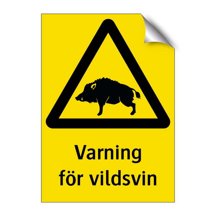 Varning för vildsvin & Varning för vildsvin