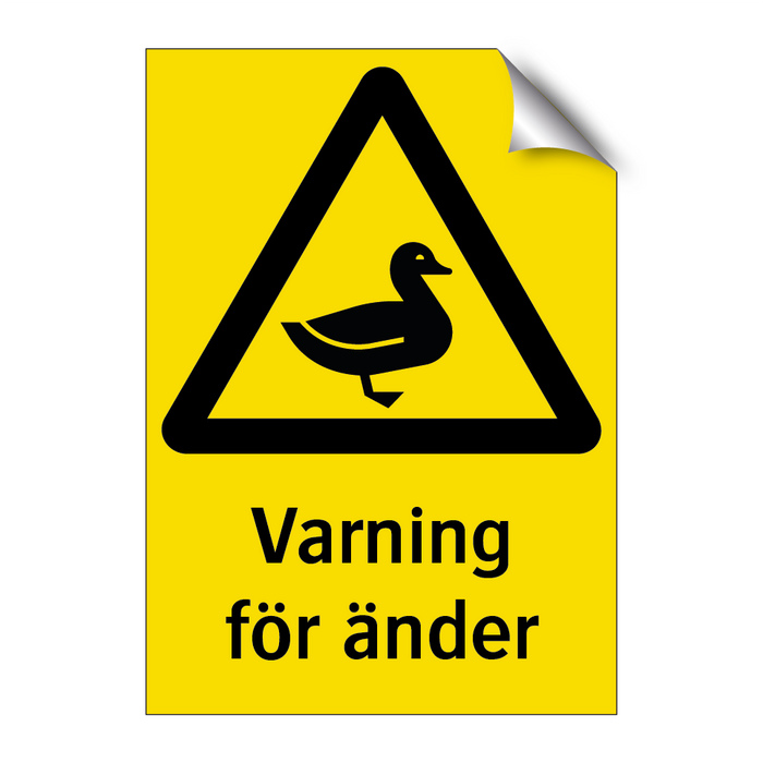 Varning för änder & Varning för änder